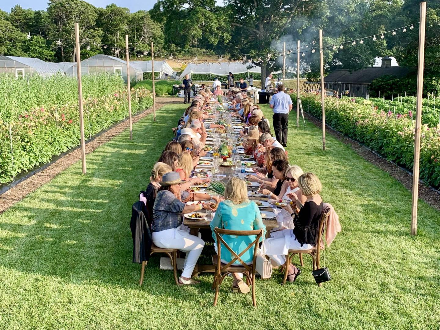 A group of people dining outdoors on a long table