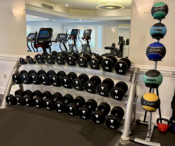 A gym room with dumbbells, medicine balls, and cardio machines reflected in a mirror.