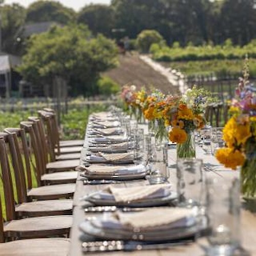 A long outdoor dining table is set elegantly with plates, glasses, and colorful flower arrangements in a picturesque garden setting.