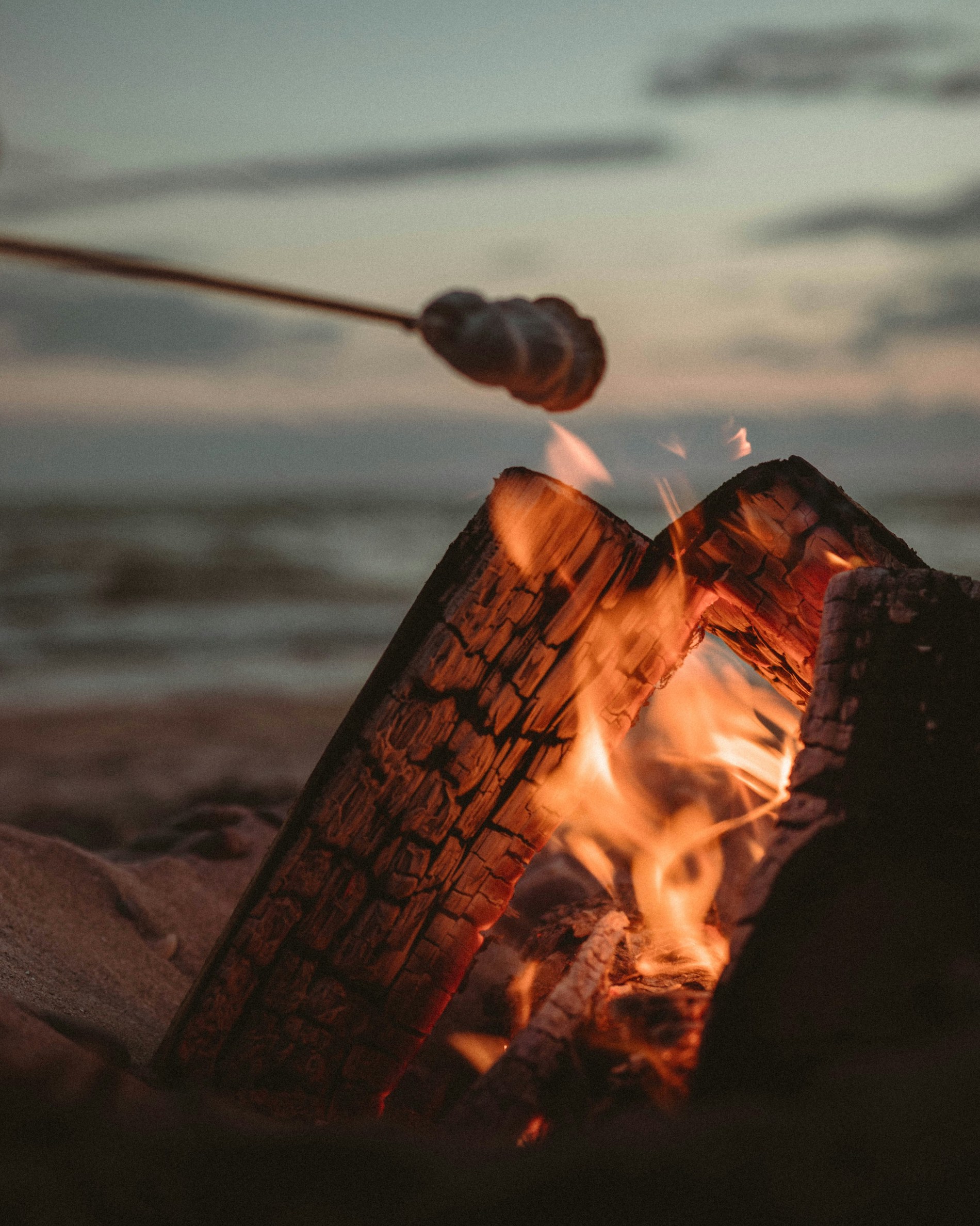 A campfire with logs burning, and a stick holding a marshmallow over it, with a seaside setting in the background.