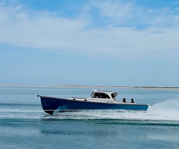 A blue motorboat speeds across calm water under a partly cloudy sky, with two people visible on board.