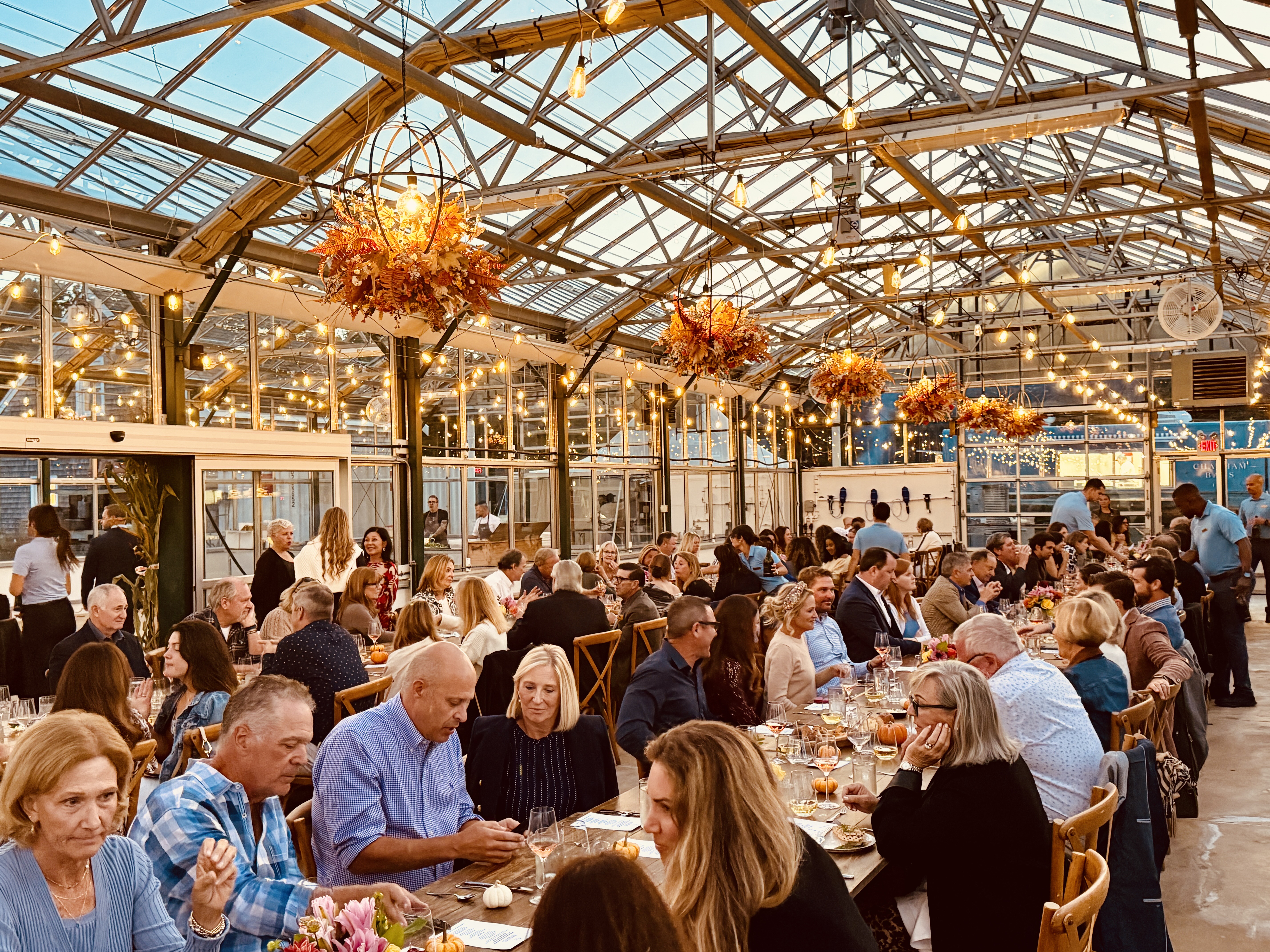 People are dining in a well-lit greenhouse-style venue with elegant decor and hanging lights.