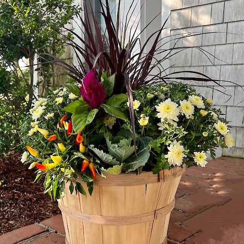 A wooden basket with colorful peppers, white flowers, purple ornamental grass, and green foliage on a brick surface, near a wall.