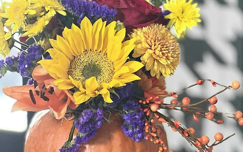 A pumpkin serves as a vase for a colorful autumn flower arrangement, accompanied by a small white pumpkin on the side.