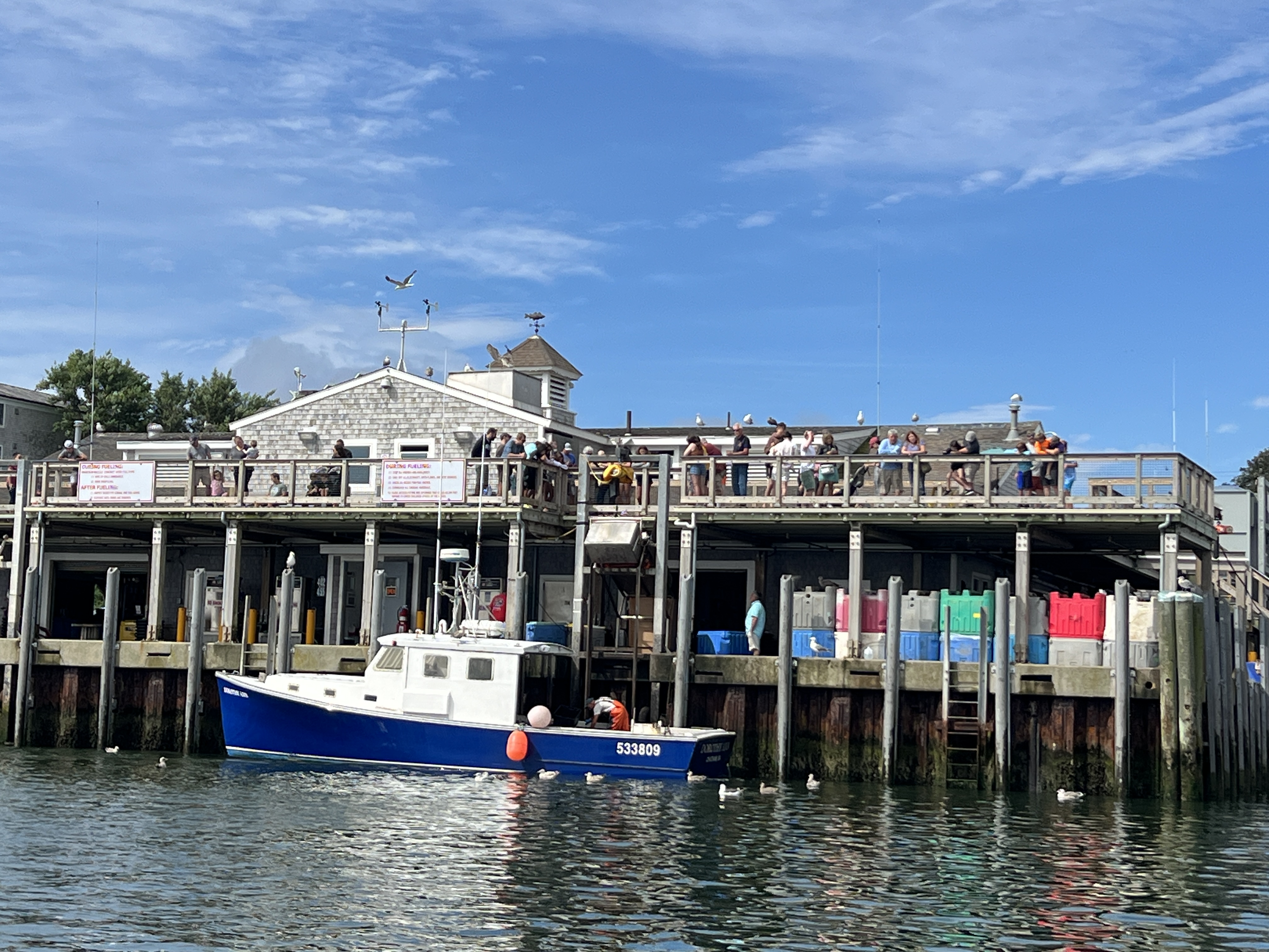 A blue and white boat floats by a waterfront building with people on a deck above.