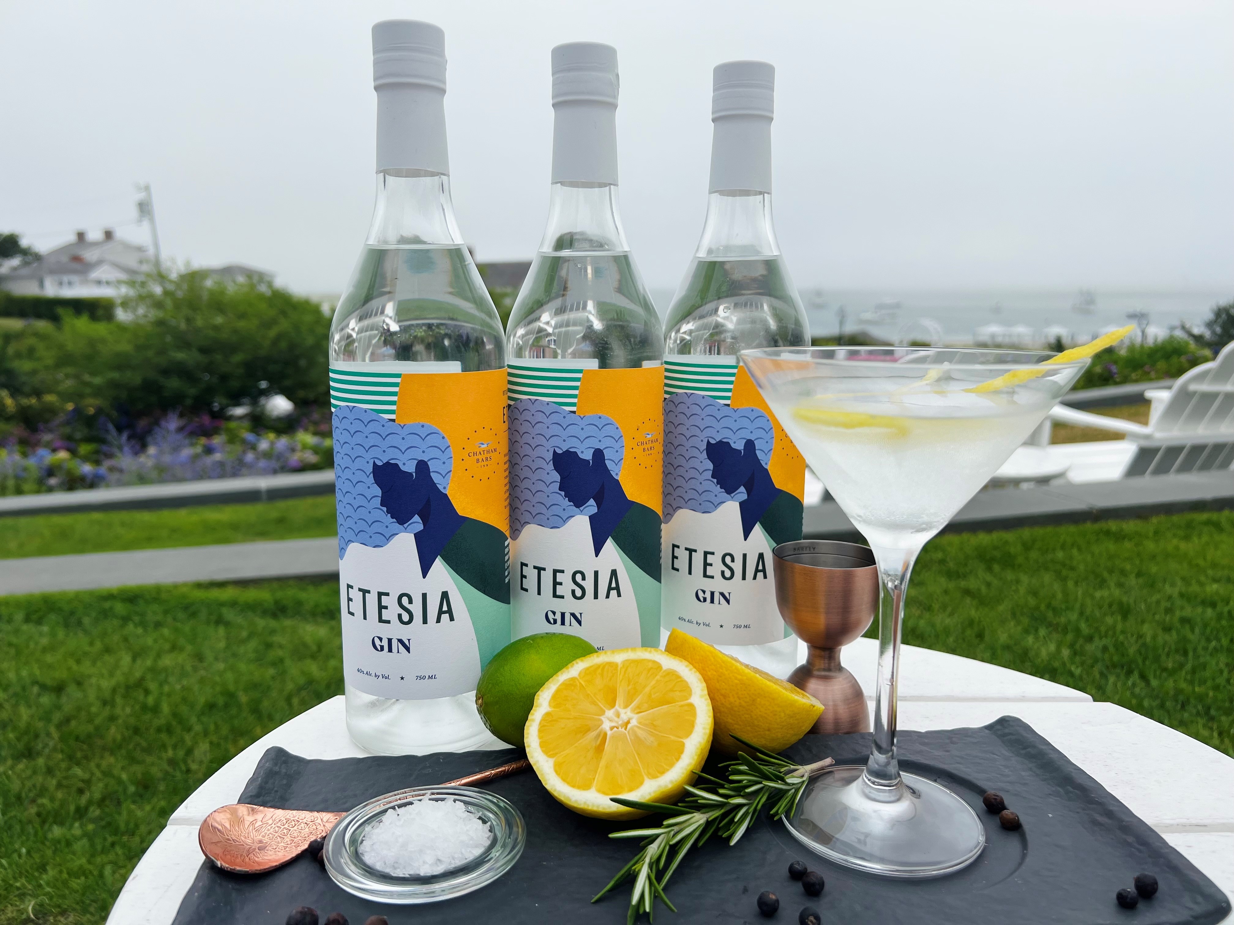 Three bottles of Etesia Gin, a garnished cocktail, lemon, lime, salt, rosemary, and a jigger on a table outdoors.
