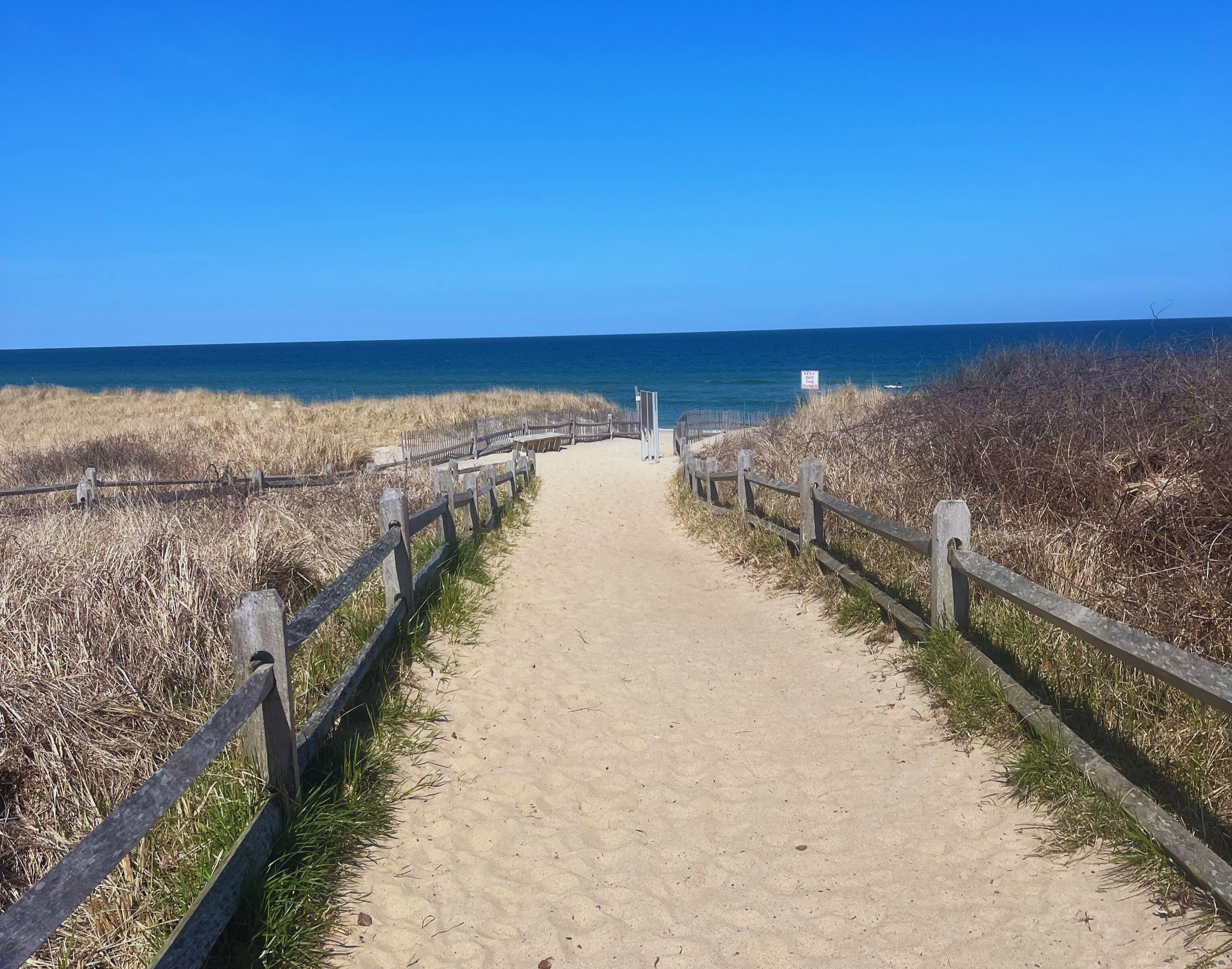 A sandy path with fences leads to a beach, framed by dunes and a clear blue sky over the ocean.