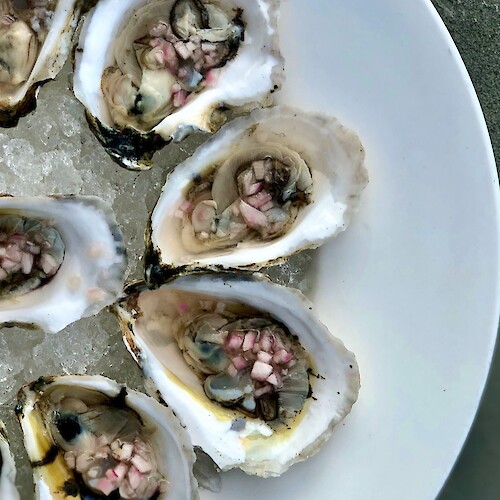 Wellfleet OysterFest