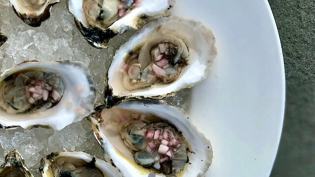 Wellfleet OysterFest