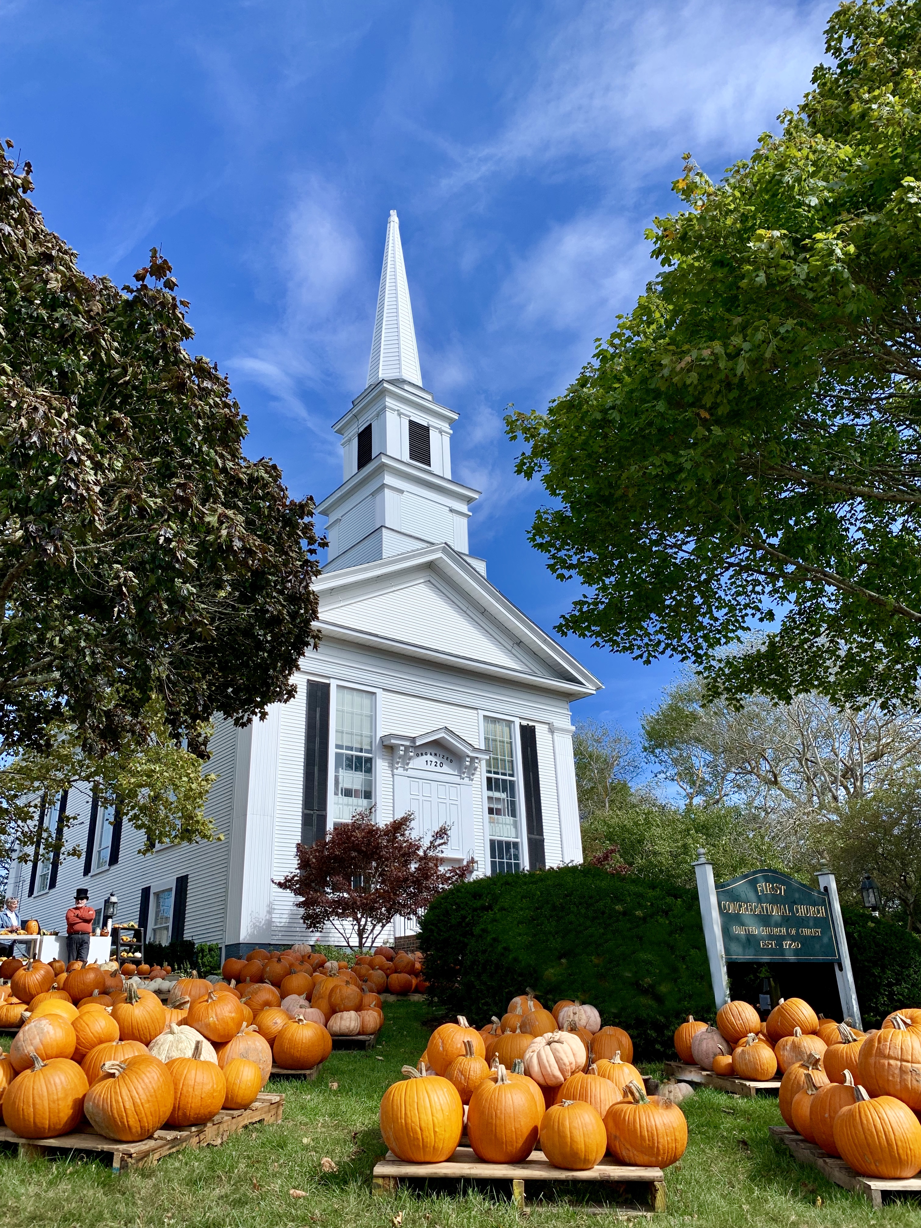 A white church with a tall steeple surrounded by numerous pumpkins, set amid trees under a clear blue sky.