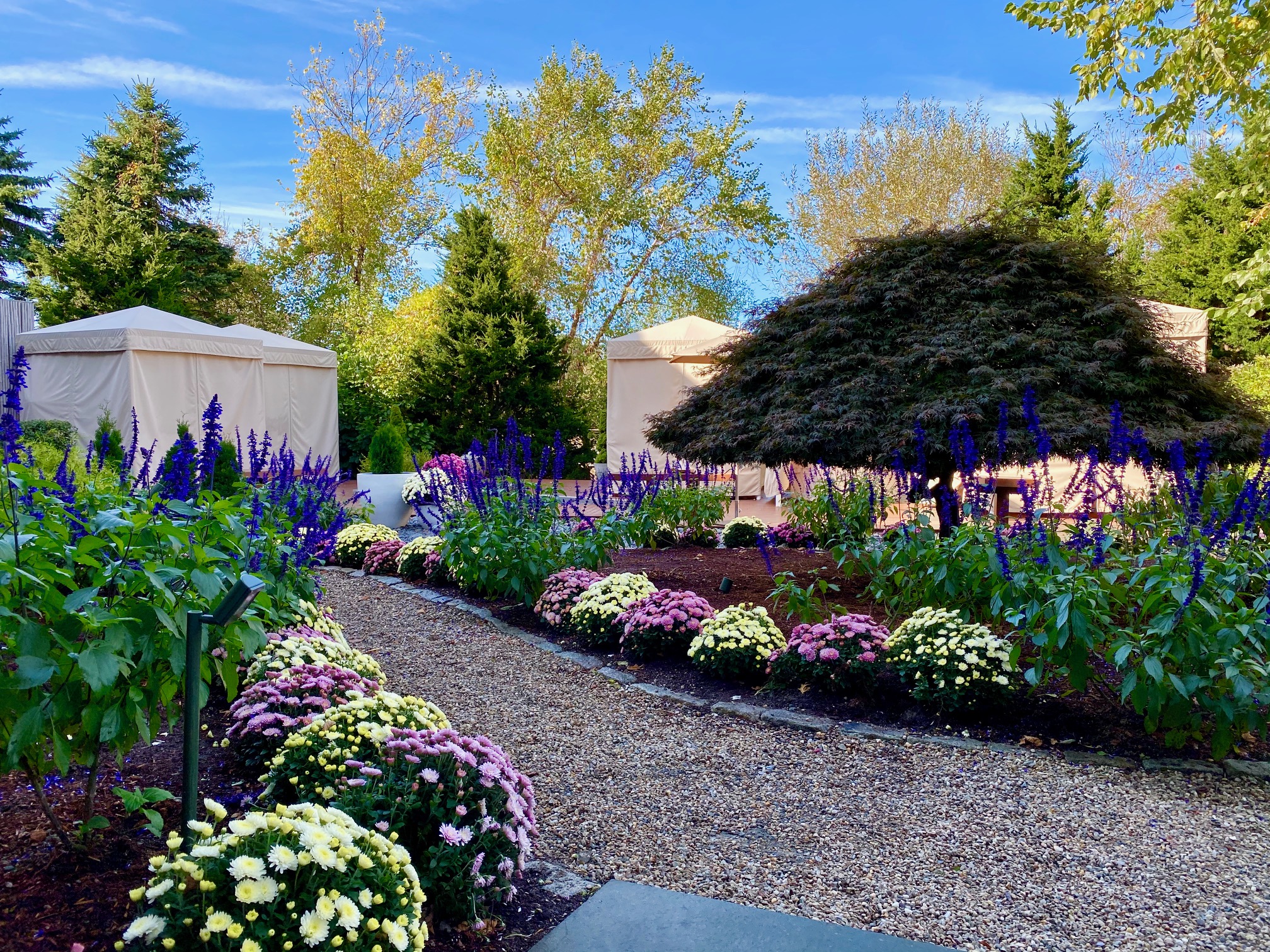 A garden with vibrant flowers, a gravel path, and tents; lush greenery and trees under a blue sky complete the serene scene.