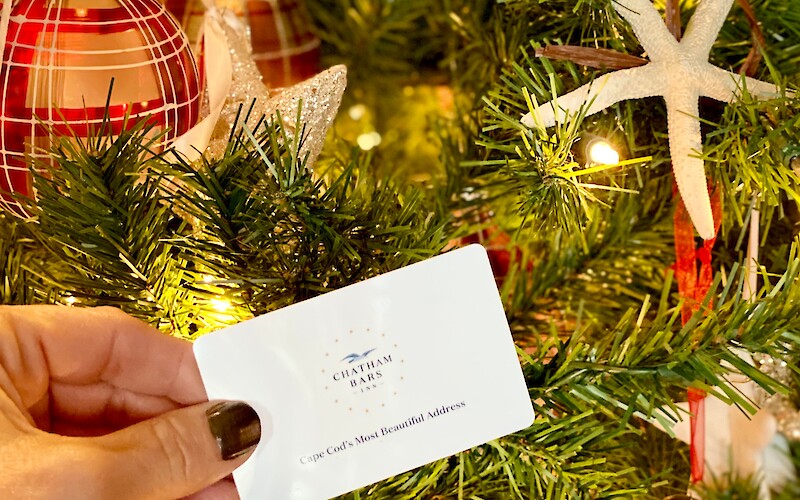 A hand holding a card near a decorated Christmas tree with ornaments and lights, featuring a starfish and red spherical decorations.