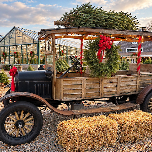 A vintage truck decorated for the holidays with wreaths and bows carries a Christmas tree. Hay bales and a greenhouse are in the background.
