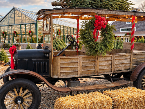 A vintage truck decorated with wreaths and a tree, parked by hay bales, near a greenhouse adorned with holiday wreaths.
