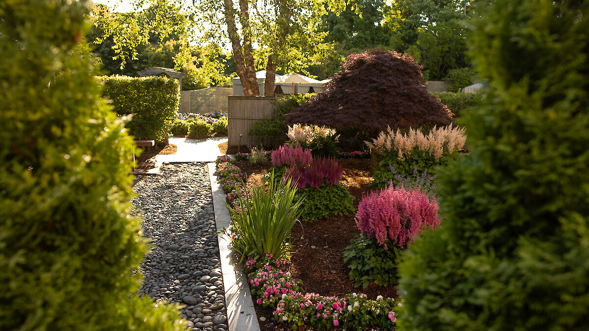 A garden with a stone pathway, colorful flowers, and lush greenery under sunlight, creating a serene and inviting atmosphere.