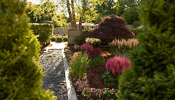 A garden with a stone pathway, colorful flowers, and lush greenery under sunlight, creating a serene and inviting atmosphere.