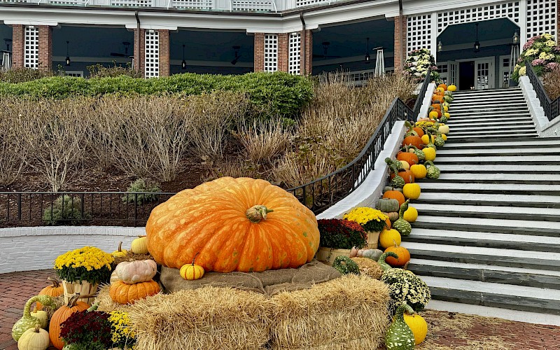 Our Giant Pumpkin &amp; World Class Pumpkin Carver