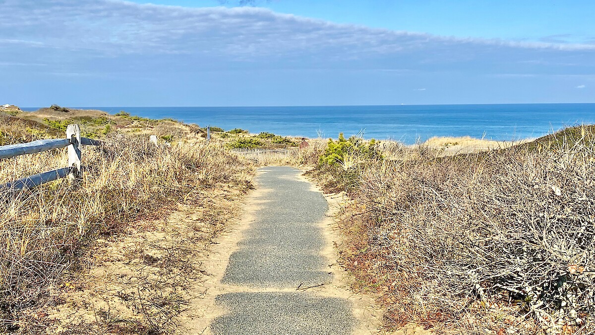 What to See and Do in Chatham - Summer Edition