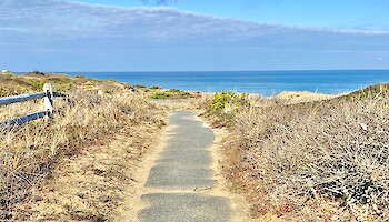 What to See and Do in Chatham - Summer Edition