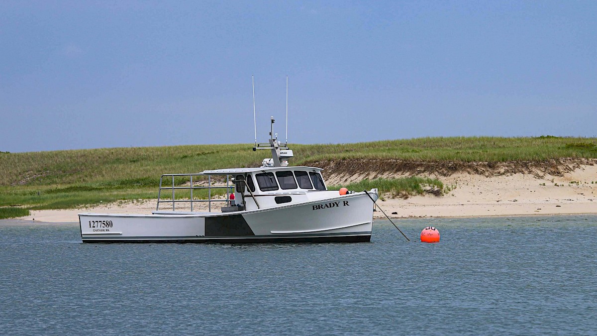 What to See and Do in Chatham - Summer Edition