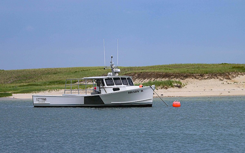 What to See and Do in Chatham - Summer Edition