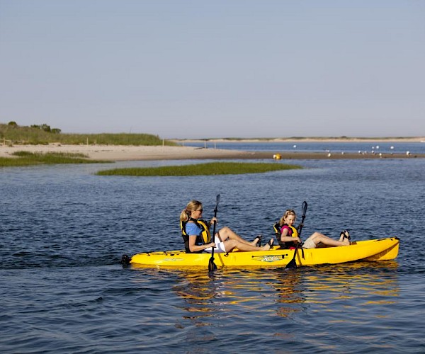 Two people are kayaking a yellow kayak on a calm body of water, surrounded by grassy banks and blue sky.