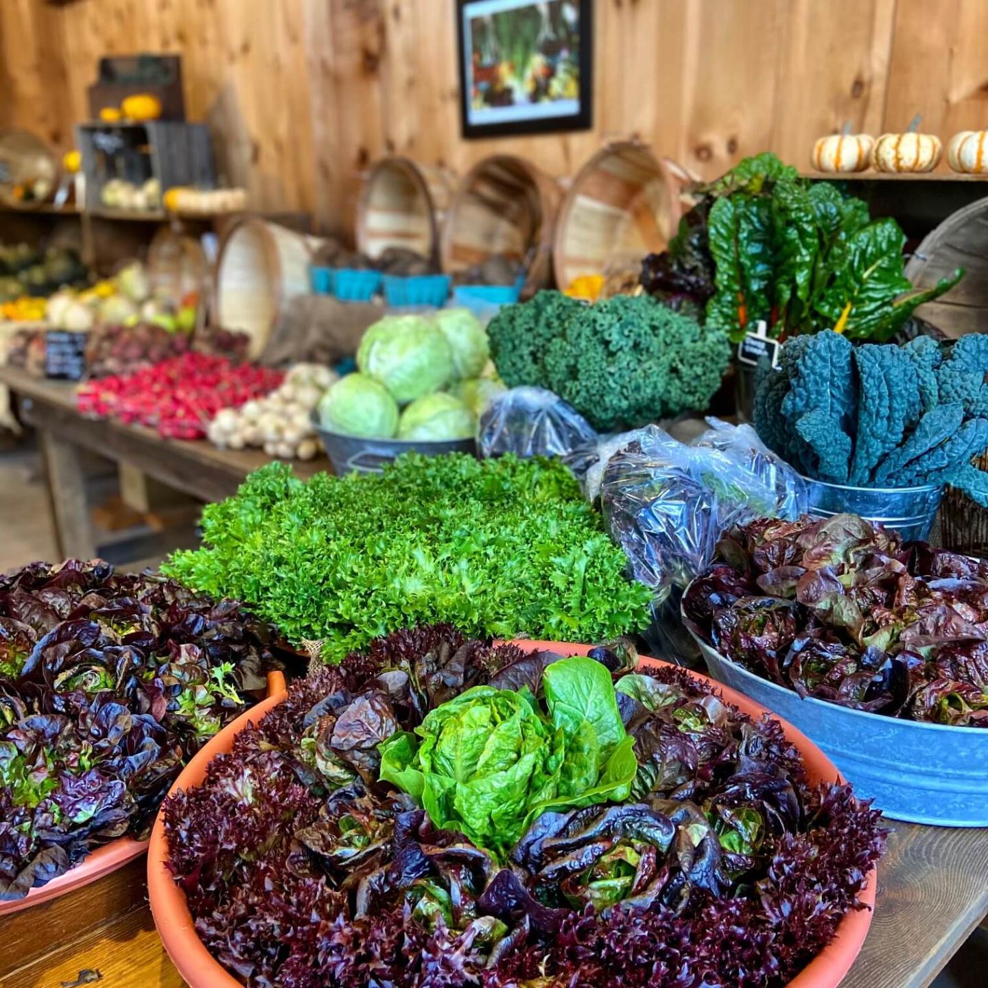 Producs on a table at the farm stand