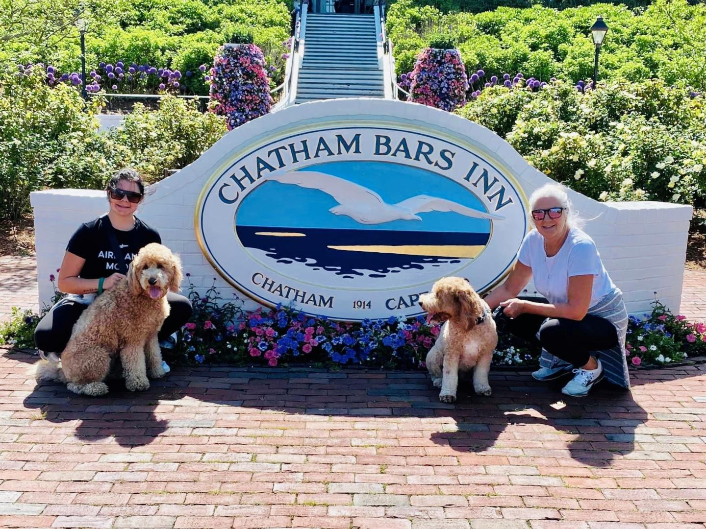 People with dogs by Chatham Bars Inn sign
