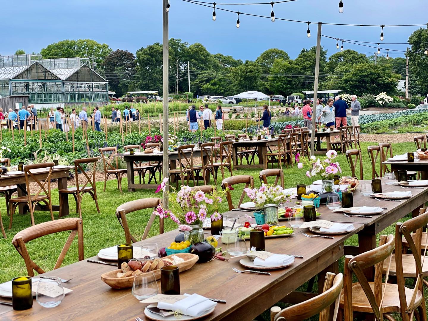 Farm Dinner