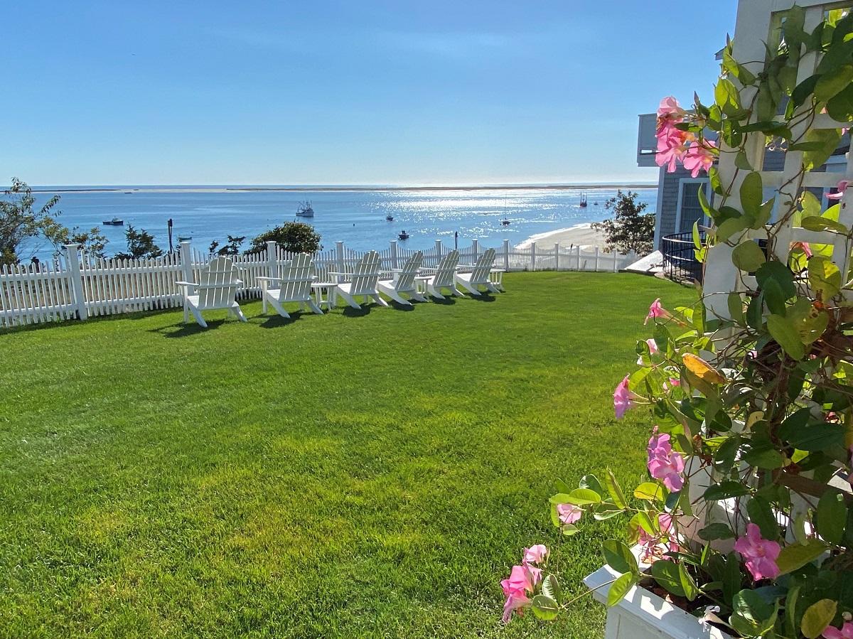 bluff view of water with pink flowers