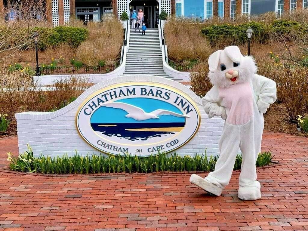 Easter Bunny with Chatham Bars Inn Sign
