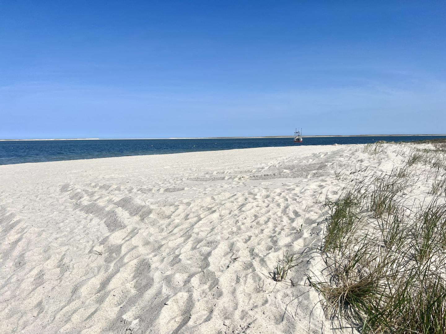 beach without cabanas