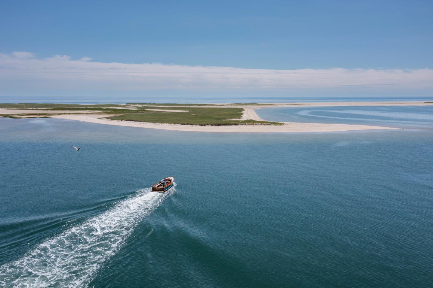 bartender to north beach island