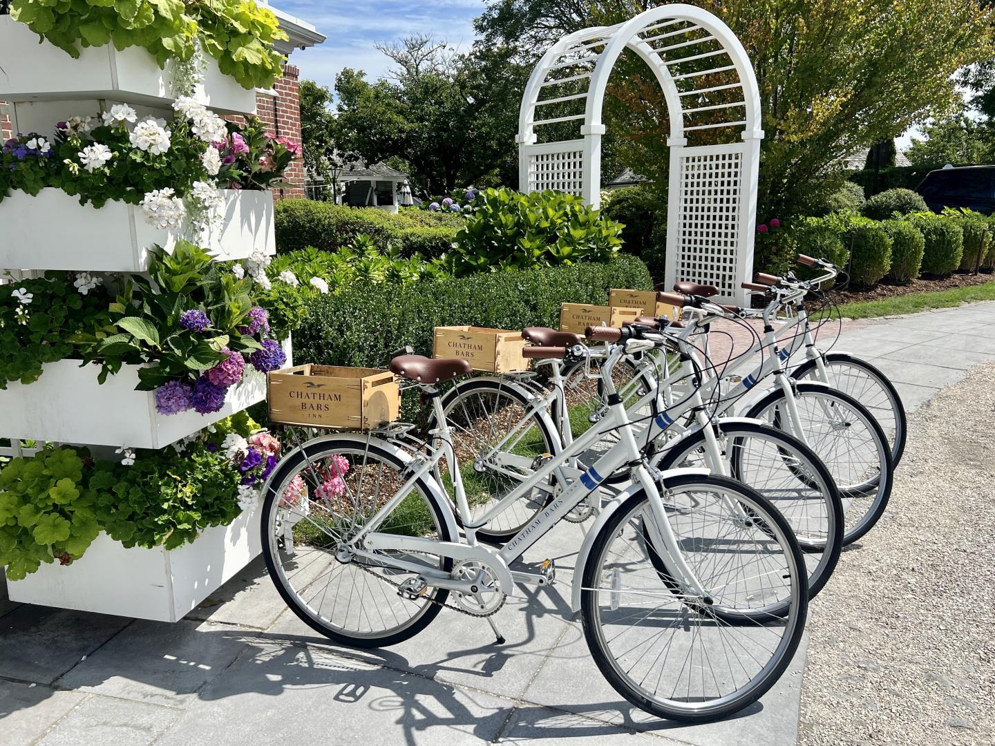 bikes at back circle
