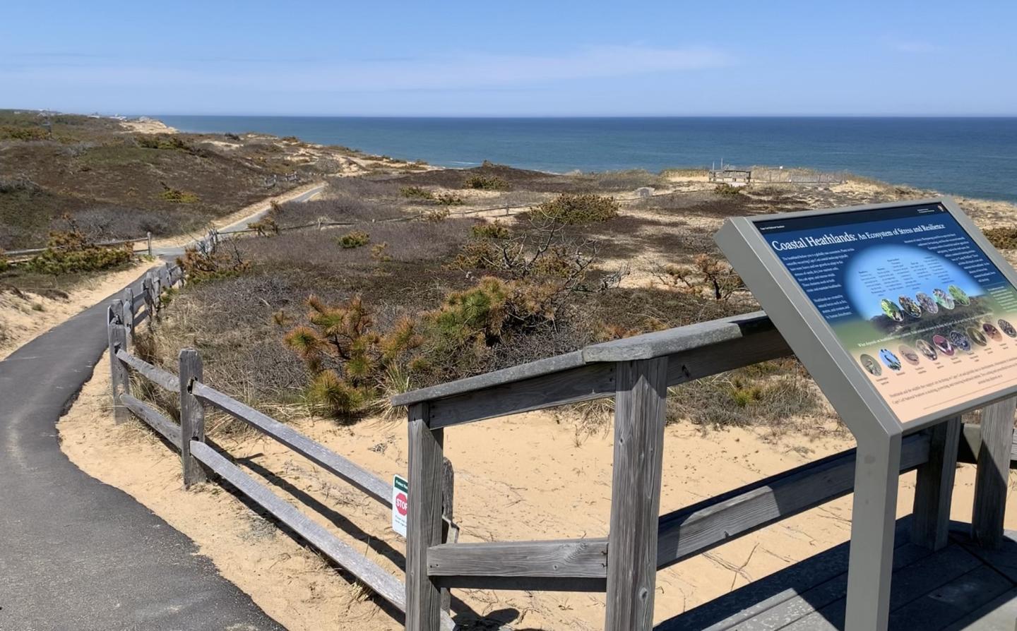 beach outlook