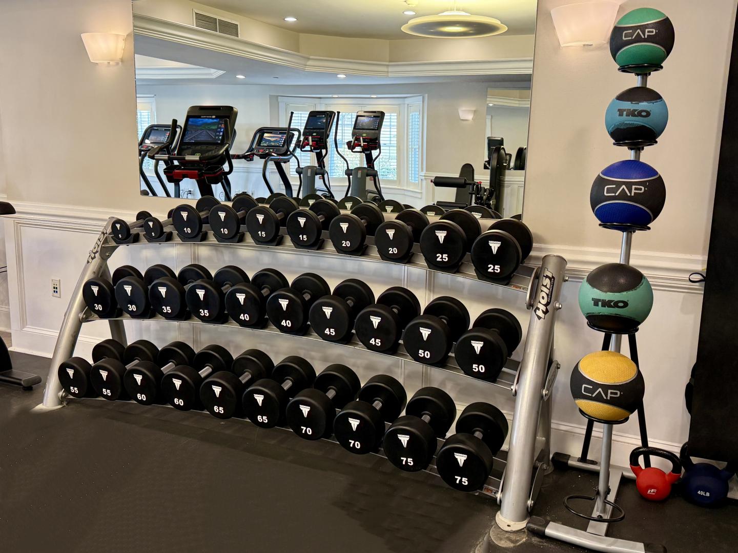 2025 Fitness Center Weights