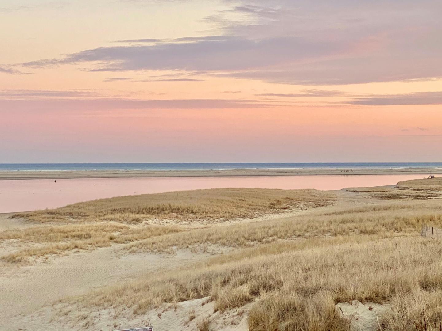 Sandy beach at sunset with pink and purple sky, grass dunes in foreground.