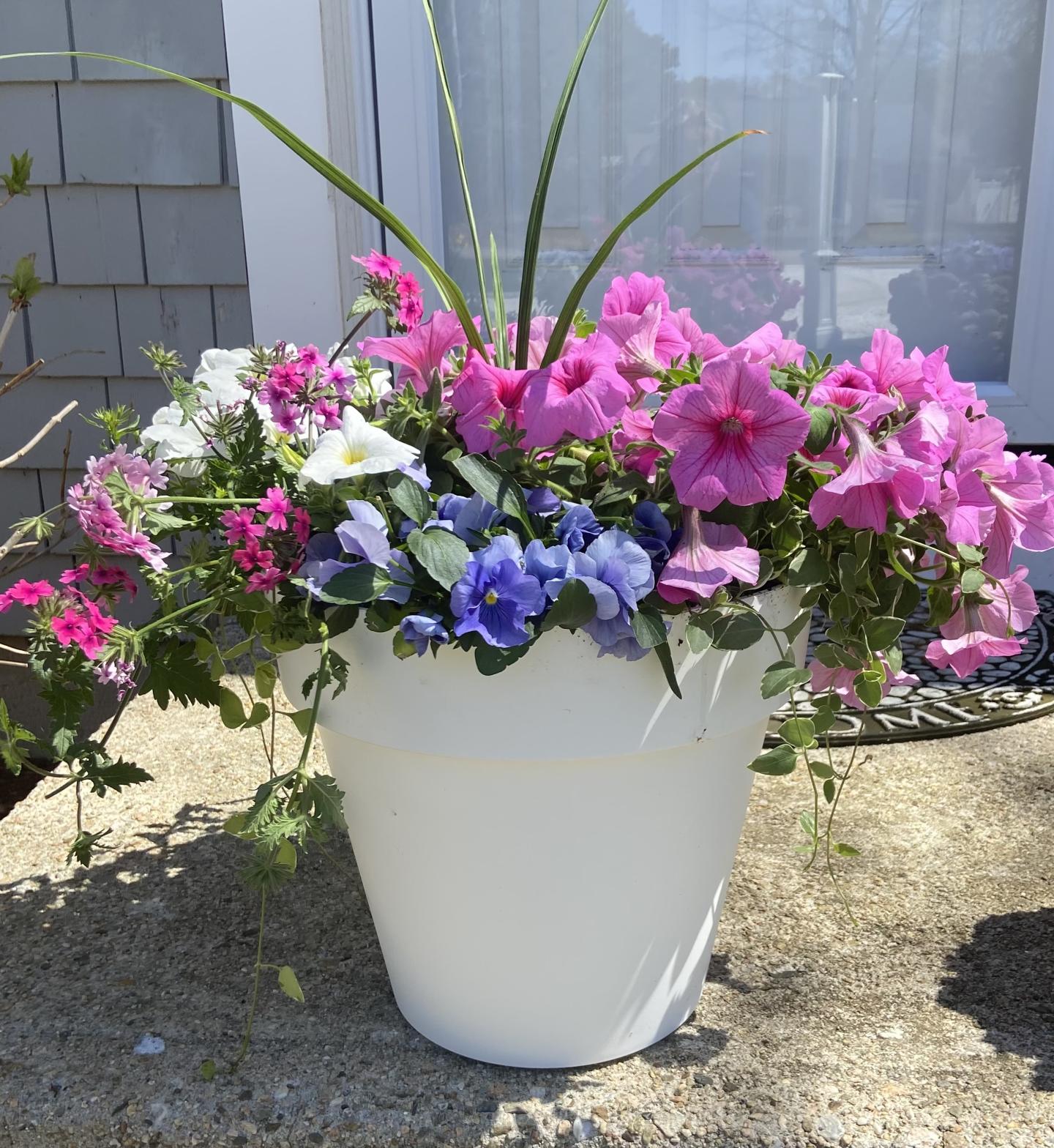 White pot with pink, purple, and white flowers on a sunlit patio.