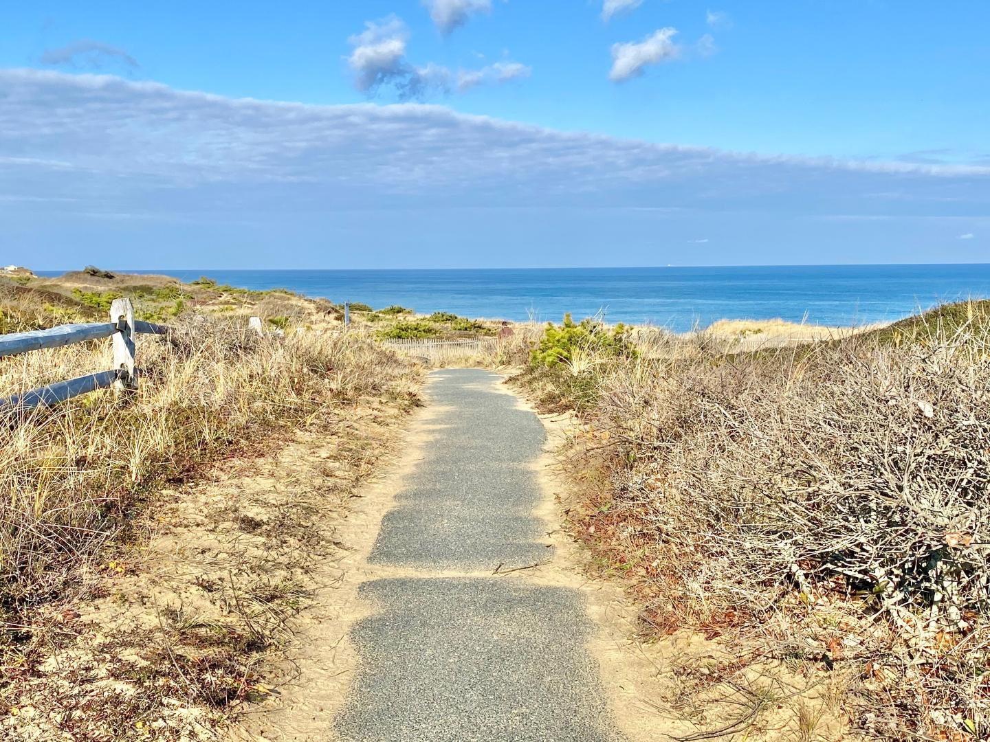 Pathway through dried dunes leads to a calm blue ocean under a bright sky.