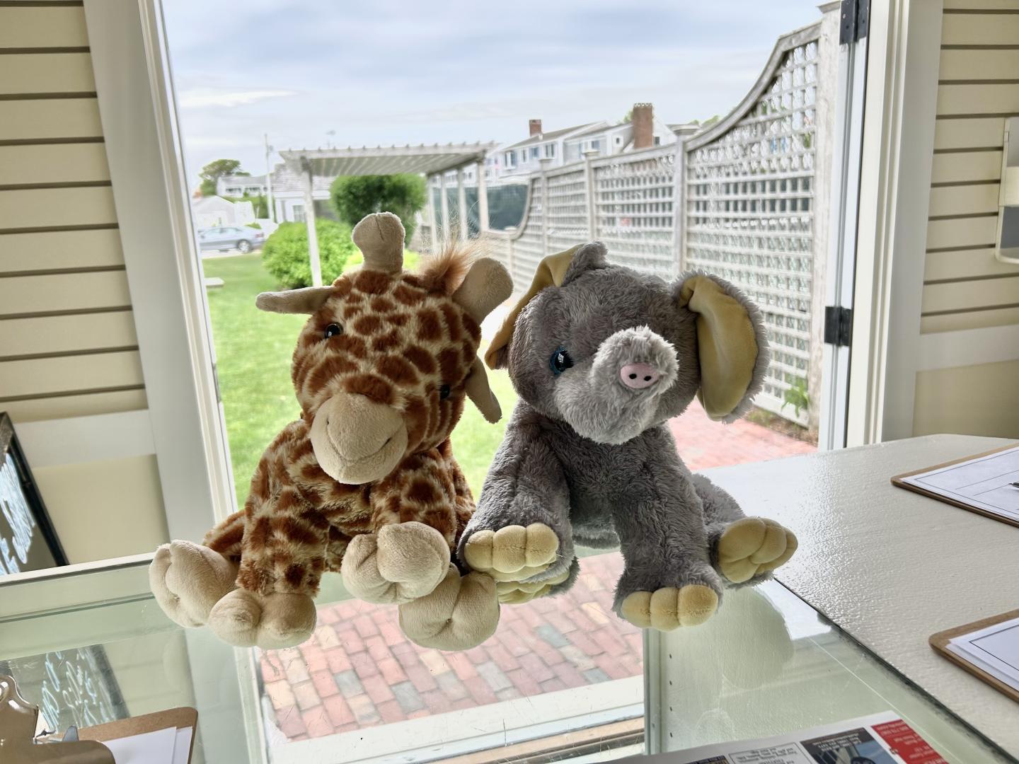 Plush giraffe and elephant sit on a glass table by a bright window.
