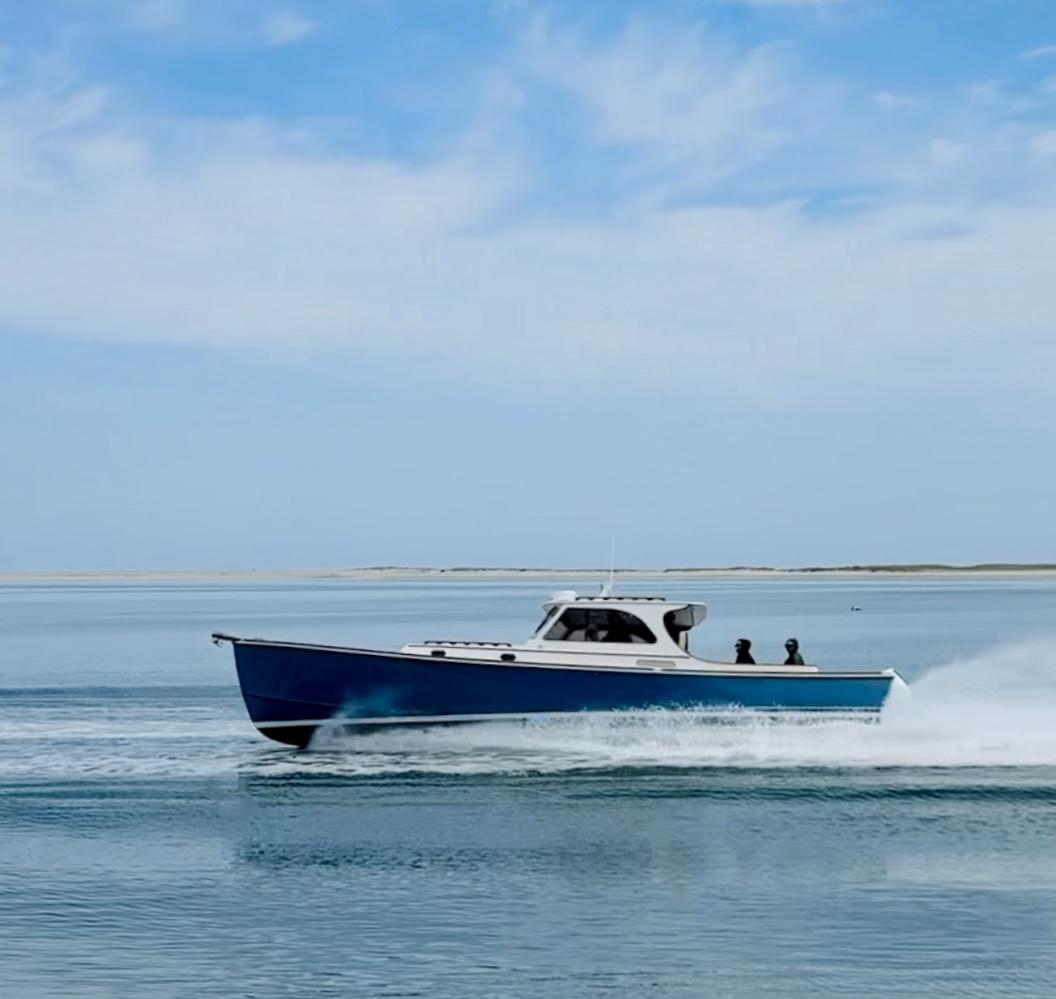 A blue motorboat speeds across a calm sea under a clear sky.