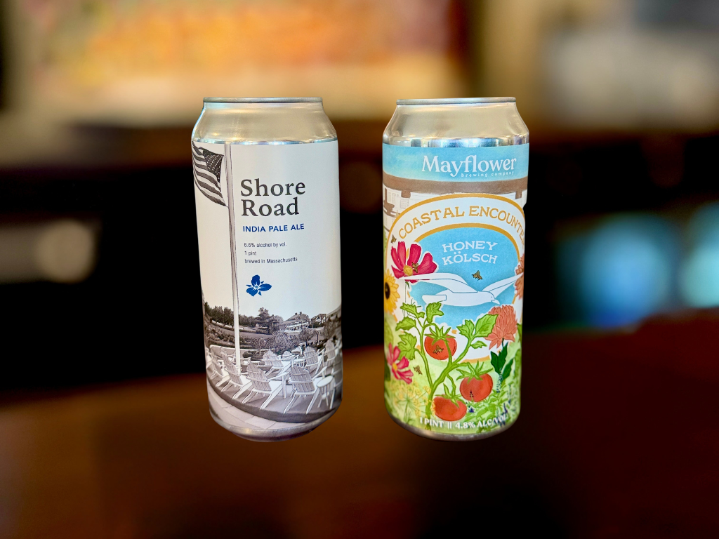 Shore Road & Coastal Encounter