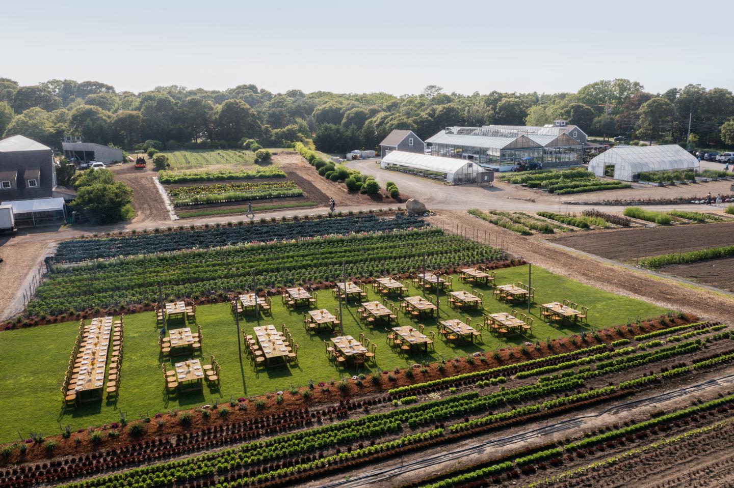 Fields with rows of tables set up on green grass near farm buildings.