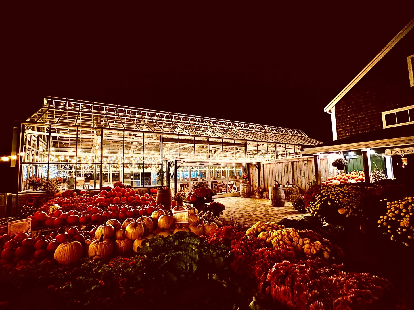 Pumpkins and flowers outside a warmly lit greenhouse at night.