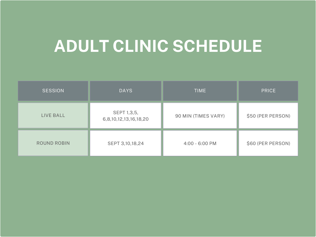 Adult clinic schedule chart with session details and prices.