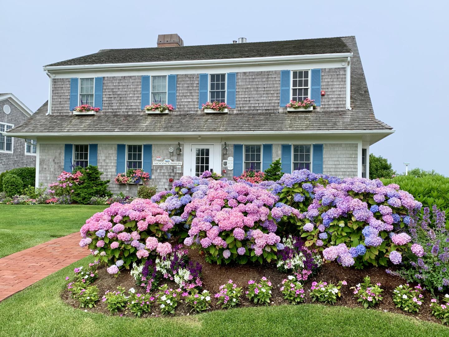 A house with blue shutters, surrounded by pink and purple hydrangeas.