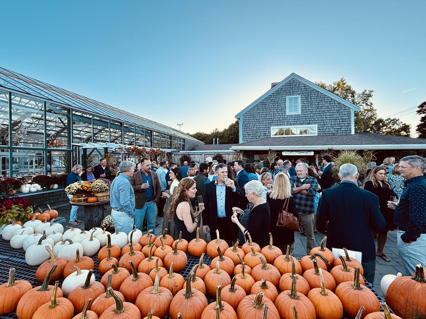 Crowd gathers by pumpkins at a farm dinner during sunset, near a barn and greenhouse.