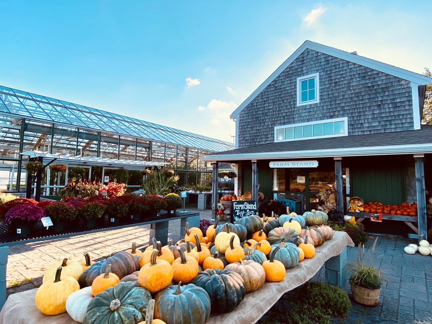 Pumpkins and gourds on display outside a rustic farm store.
