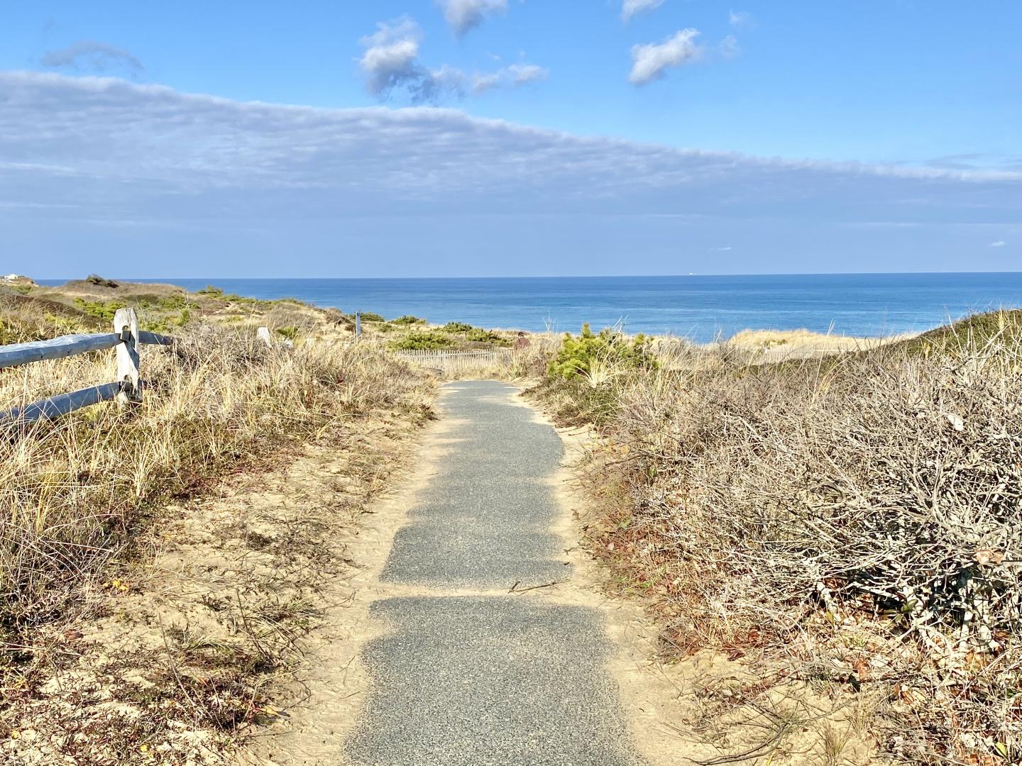 Path leading to the ocean, surrounded by dry grass under a blue sky.