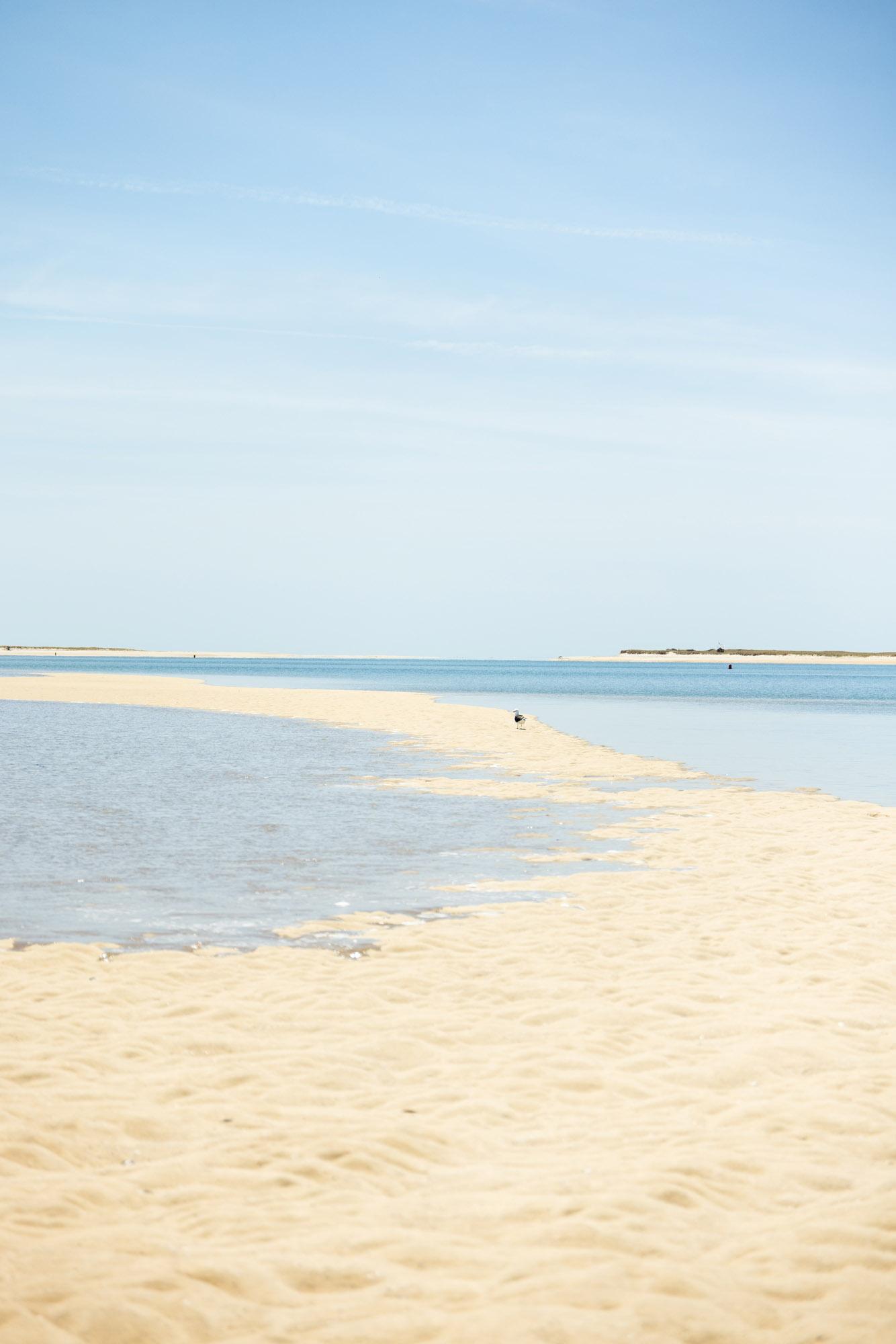 Sandy beach with calm sea under a clear blue sky.